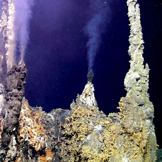 InVADER: In situ Vent Analysis Divebot for Exobiology Research